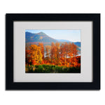 Trademark Fine Art 'Swing' 11" x 14" Black Frame Art