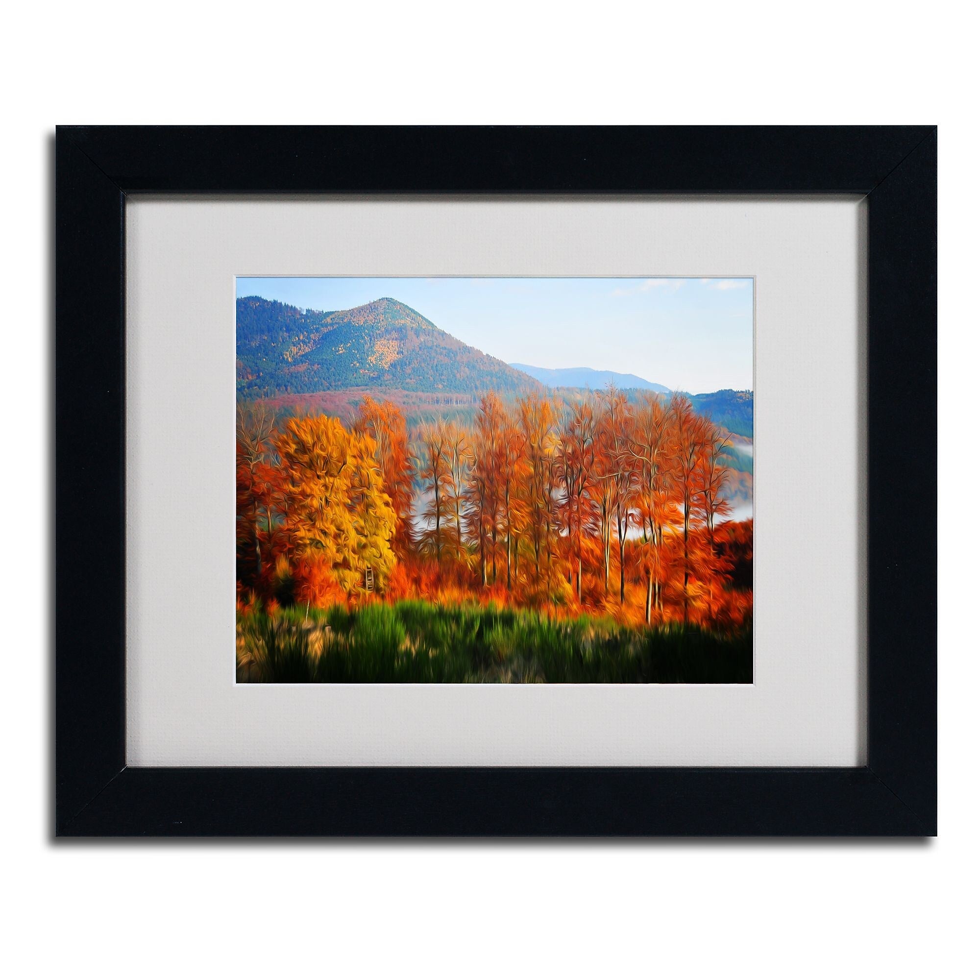 Trademark Fine Art 'Swing' 11" x 14" Black Frame Art