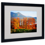 Trademark Fine Art 'Swing' 16" x 20" Black Frame Art