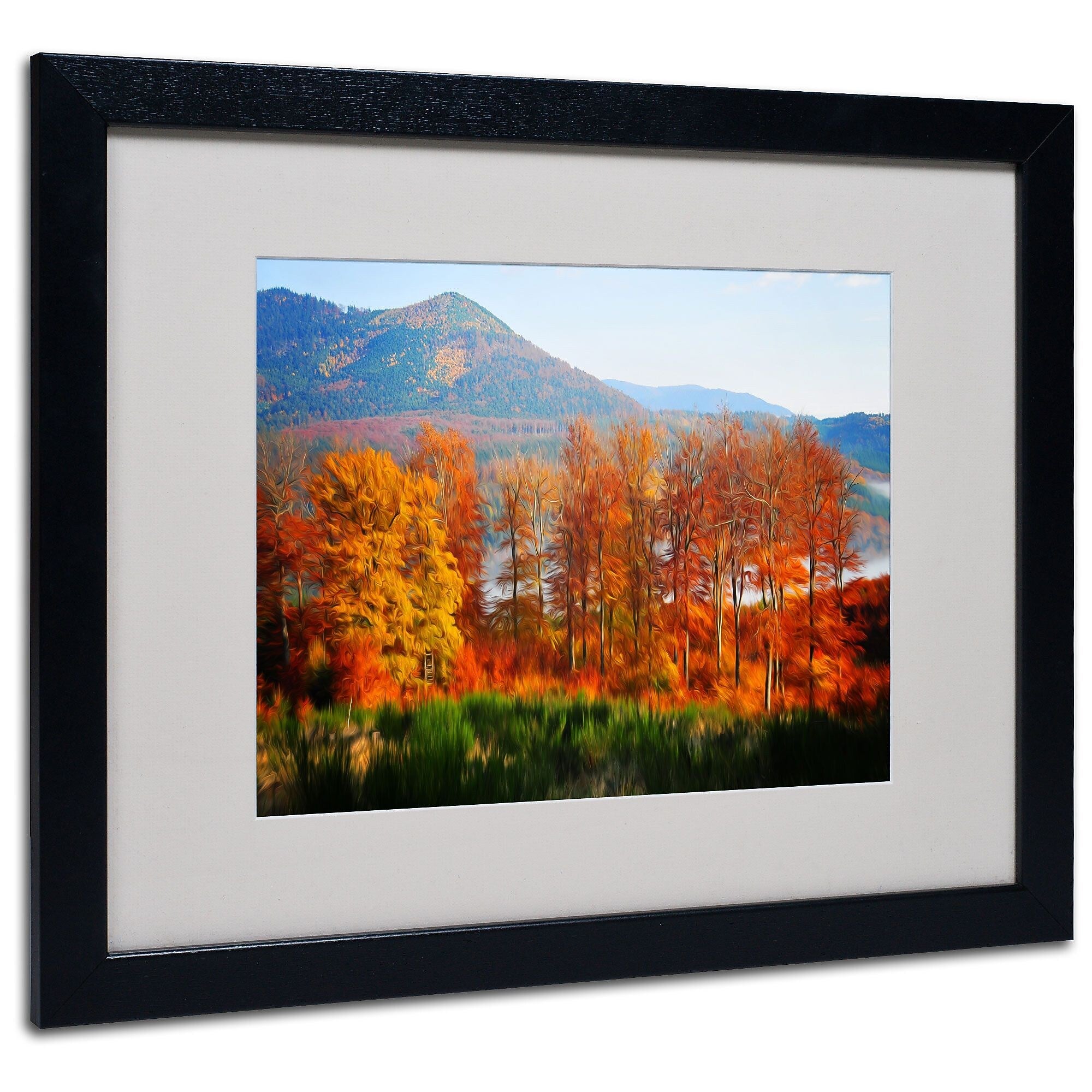 Trademark Fine Art 'Swing' 16" x 20" Black Frame Art