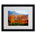Trademark Fine Art 'Swing' 16" x 20" Black Frame Art