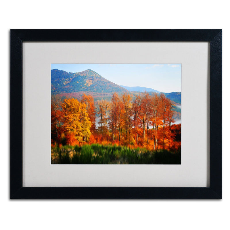 Trademark Fine Art 'Swing' 16" x 20" Black Frame Art