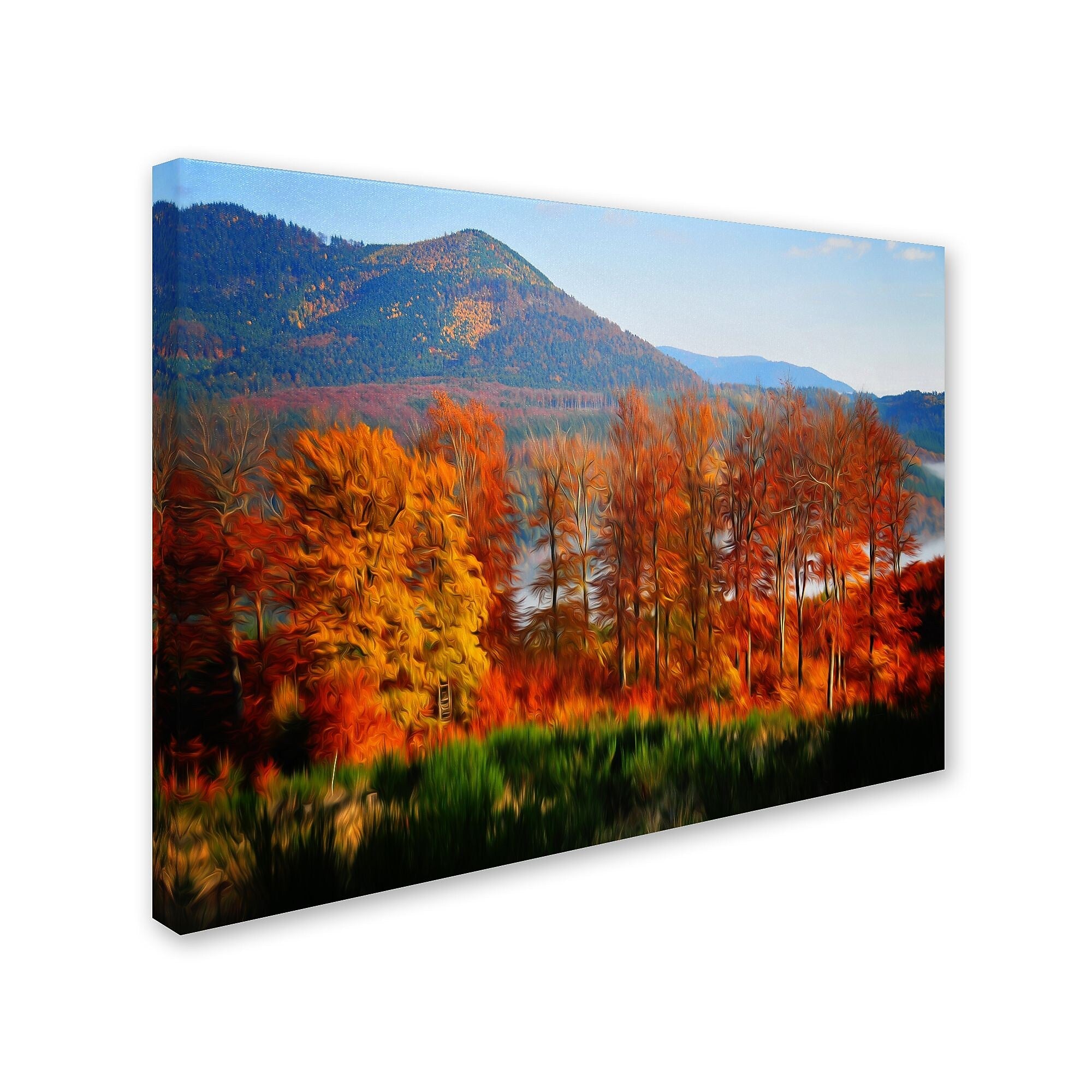 Trademark Fine Art 'Swing' 16" x 24" Canvas Art