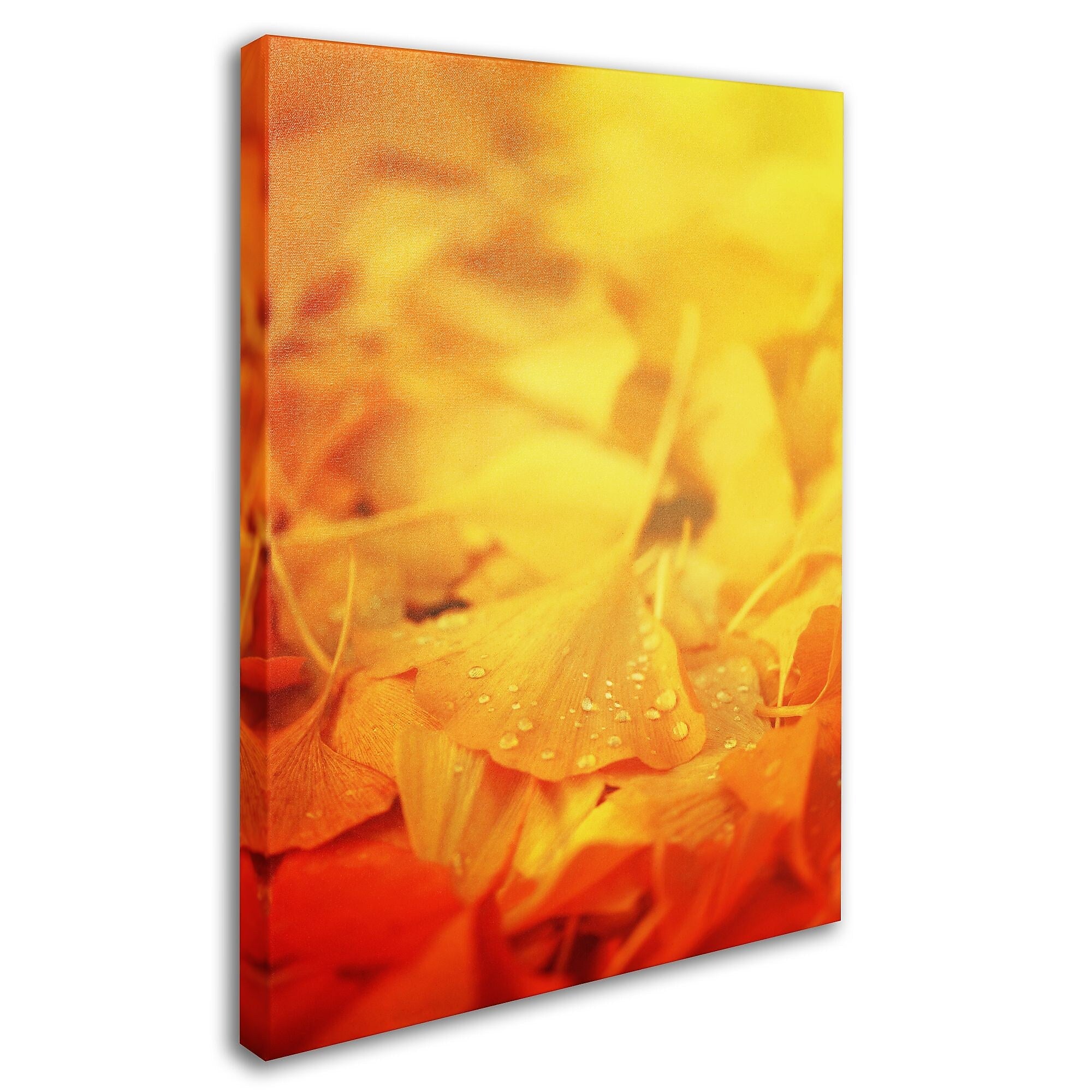 Trademark Fine Art 'Thinking Bubble' 16" x 24" Canvas Art