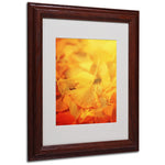Trademark Fine Art 'Thinking Bubble' 11" x 14" Wood Frame Art