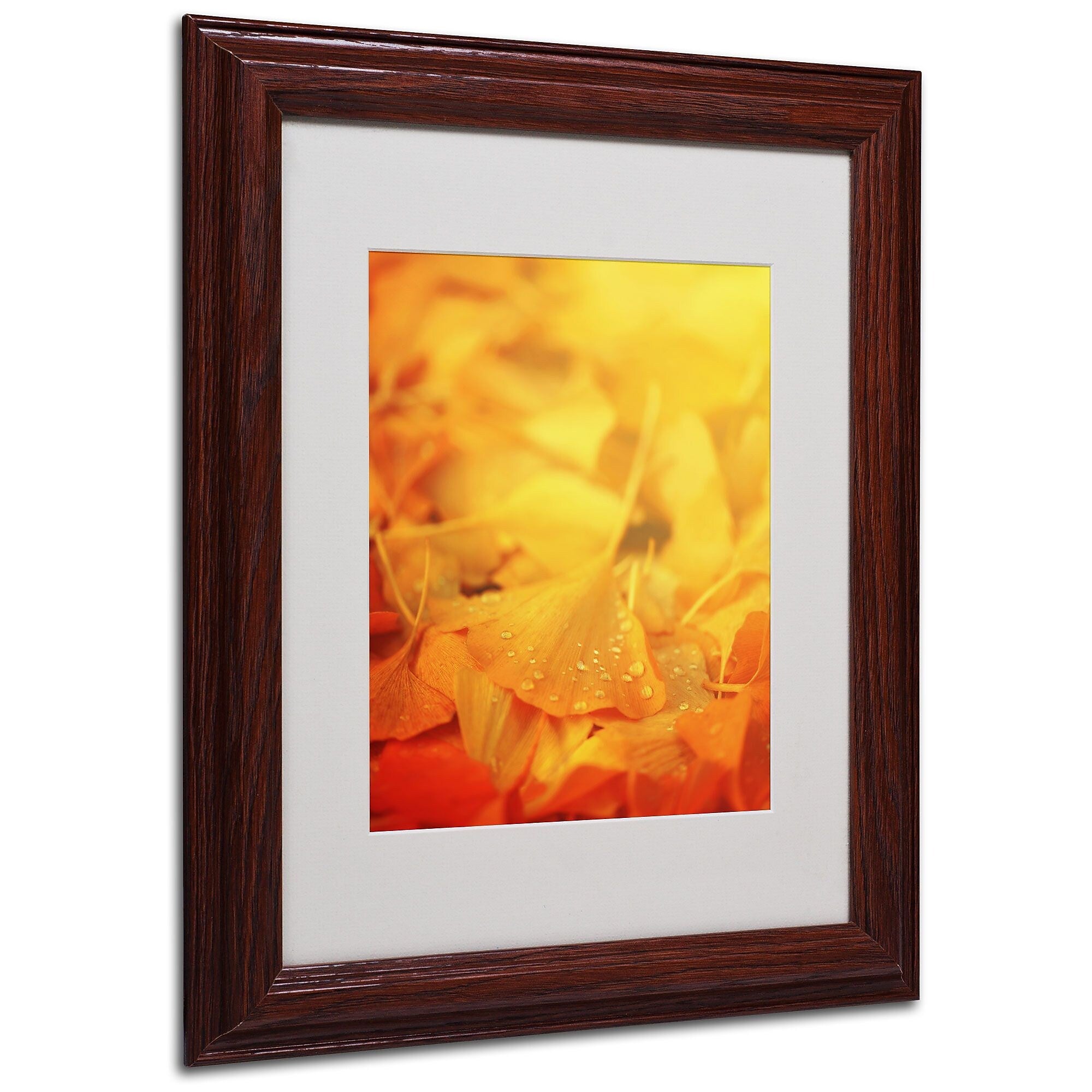 Trademark Fine Art 'Thinking Bubble' 11" x 14" Wood Frame Art