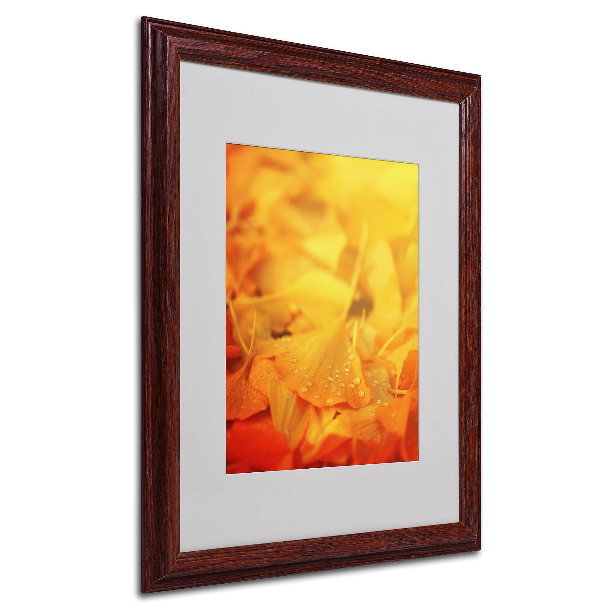 Trademark Fine Art 'Thinking Bubble' 16" x 20" Wood Frame Art
