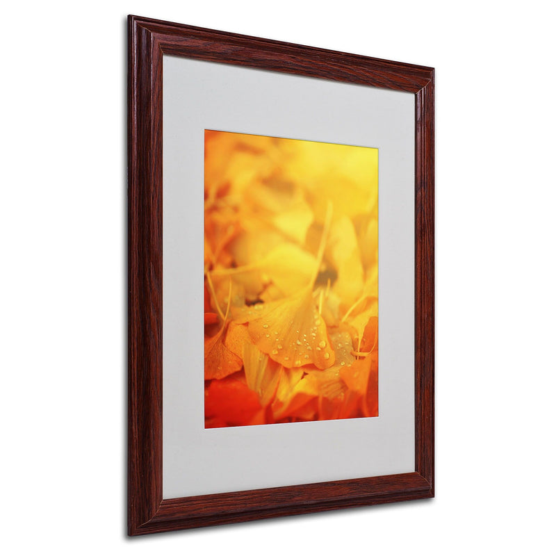 Trademark Fine Art 'Thinking Bubble' 16" x 20" Wood Frame Art
