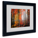 Trademark Fine Art 'Wildly Red' 11" x 14" Black Frame Art