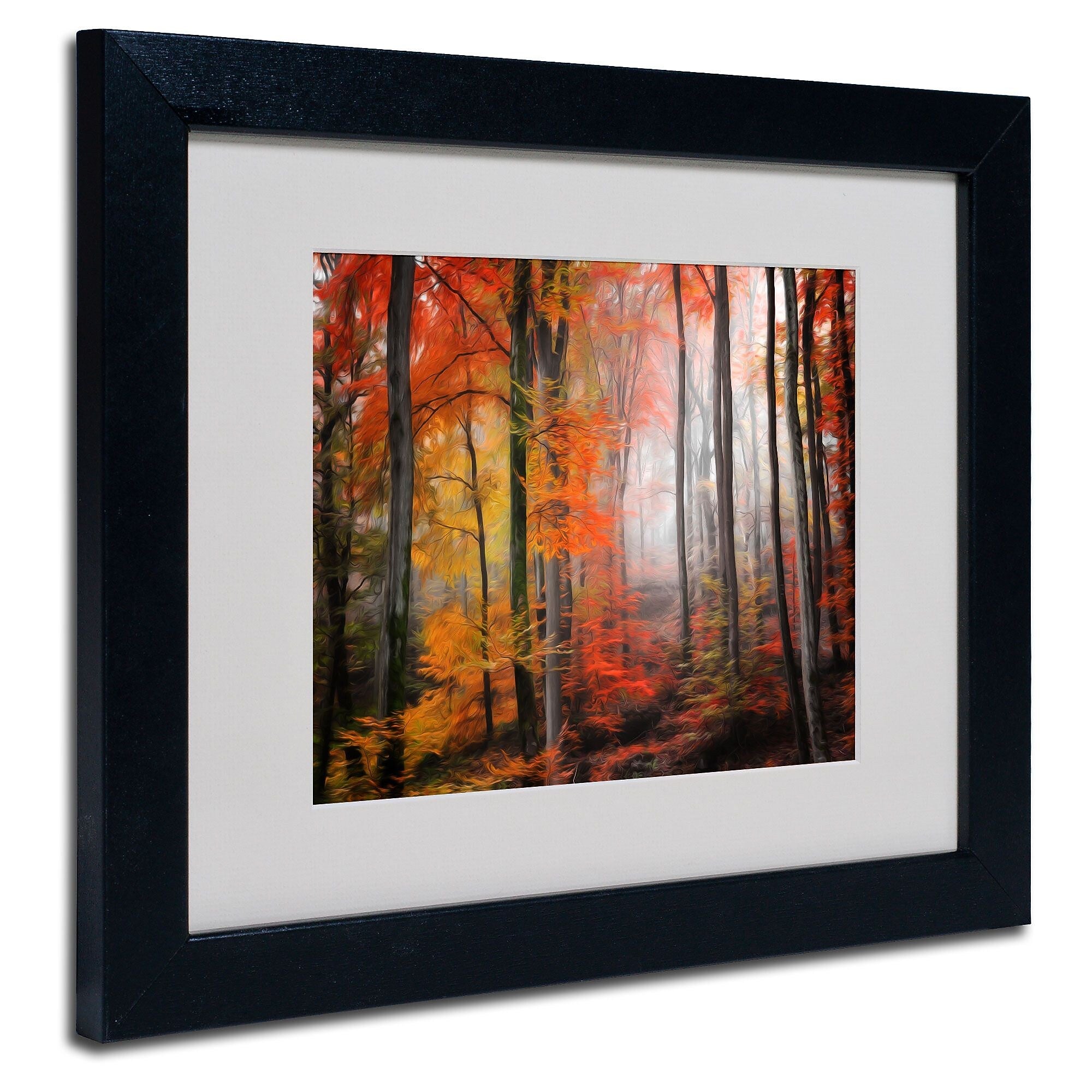 Trademark Fine Art 'Wildly Red' 11" x 14" Black Frame Art