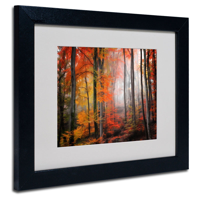 Trademark Fine Art 'Wildly Red' 11" x 14" Black Frame Art