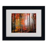 Trademark Fine Art 'Wildly Red' 11" x 14" Black Frame Art