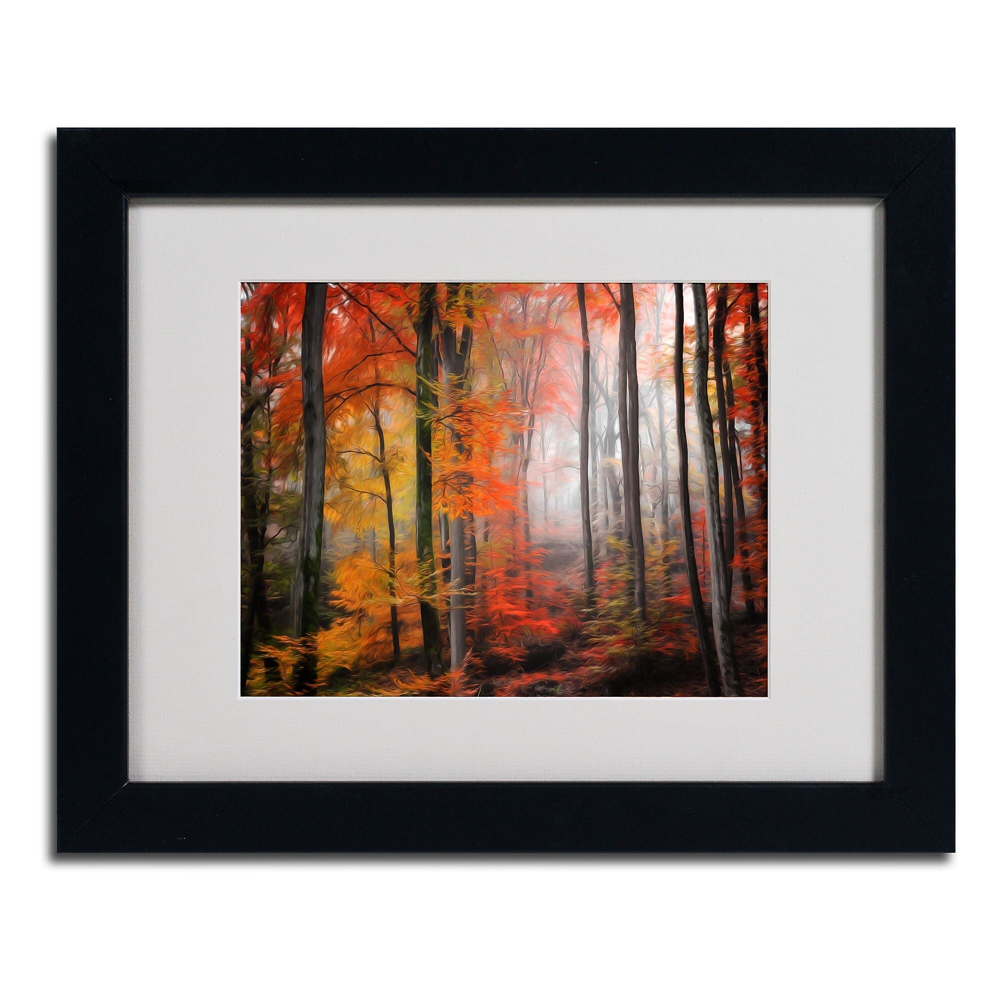 Trademark Fine Art 'Wildly Red' 11" x 14" Black Frame Art