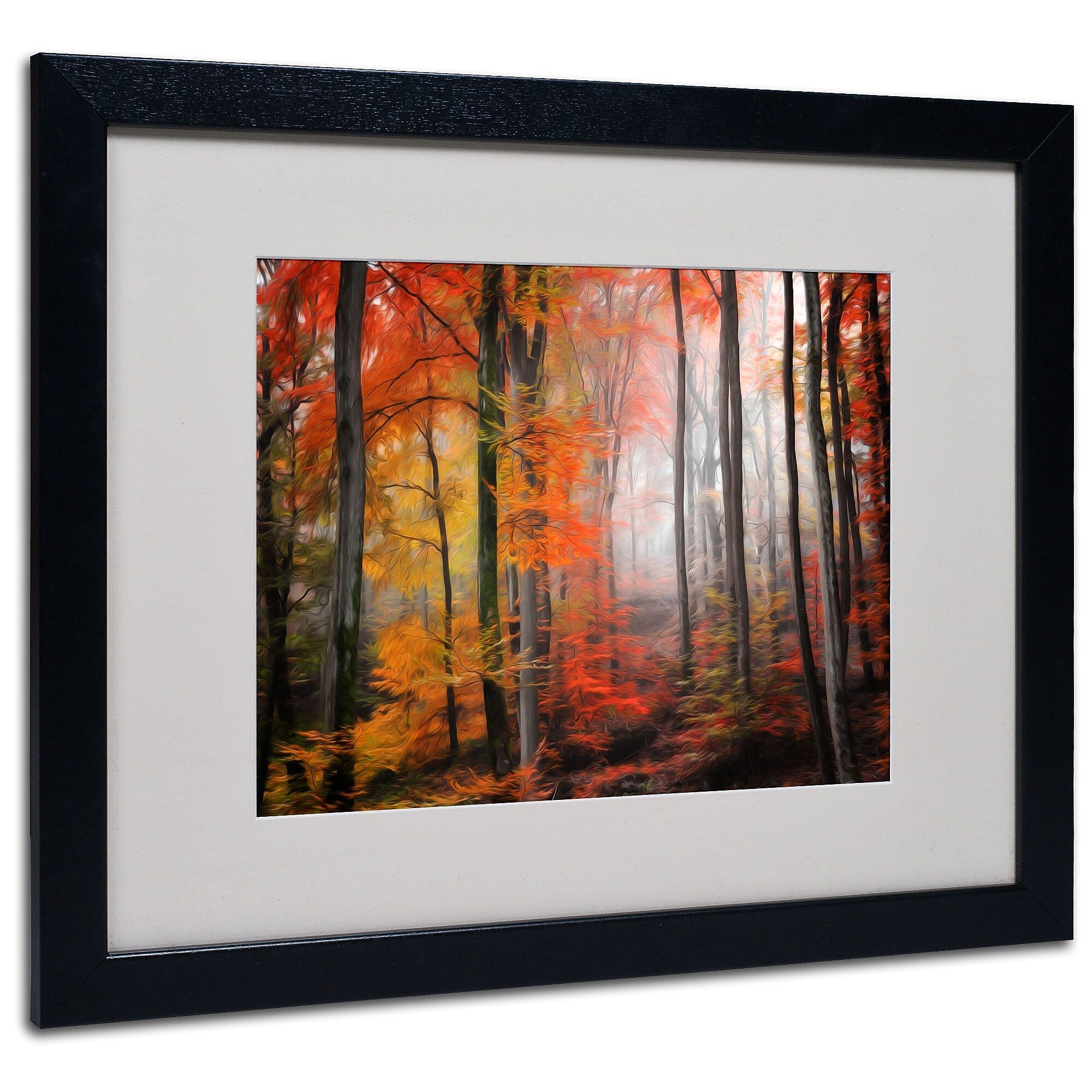 Trademark Fine Art 'Wildly Red' 16" x 20" Black Frame Art
