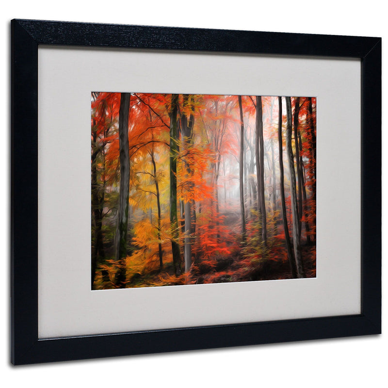 Trademark Fine Art 'Wildly Red' 16" x 20" Black Frame Art