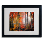 Trademark Fine Art 'Wildly Red' 16" x 20" Black Frame Art