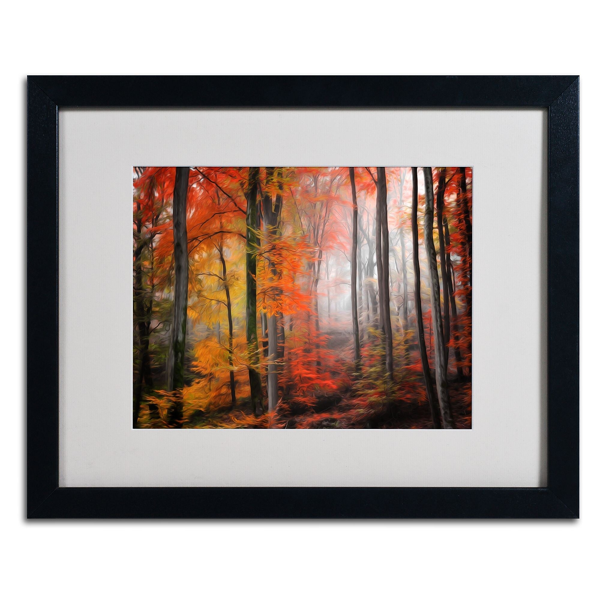 Trademark Fine Art 'Wildly Red' 16" x 20" Black Frame Art