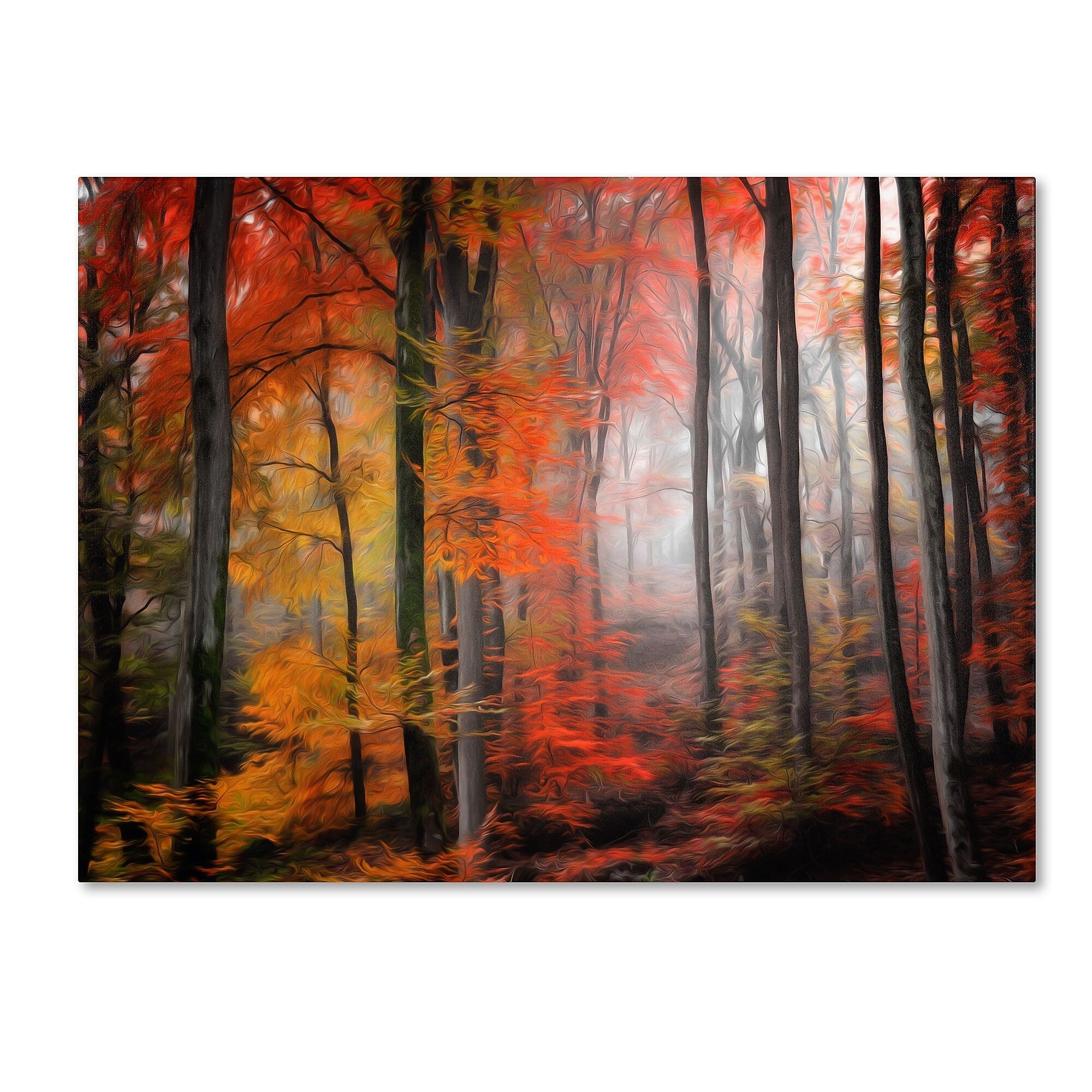 Trademark Fine Art 'Wildly Red' 30" x 47" Canvas Art