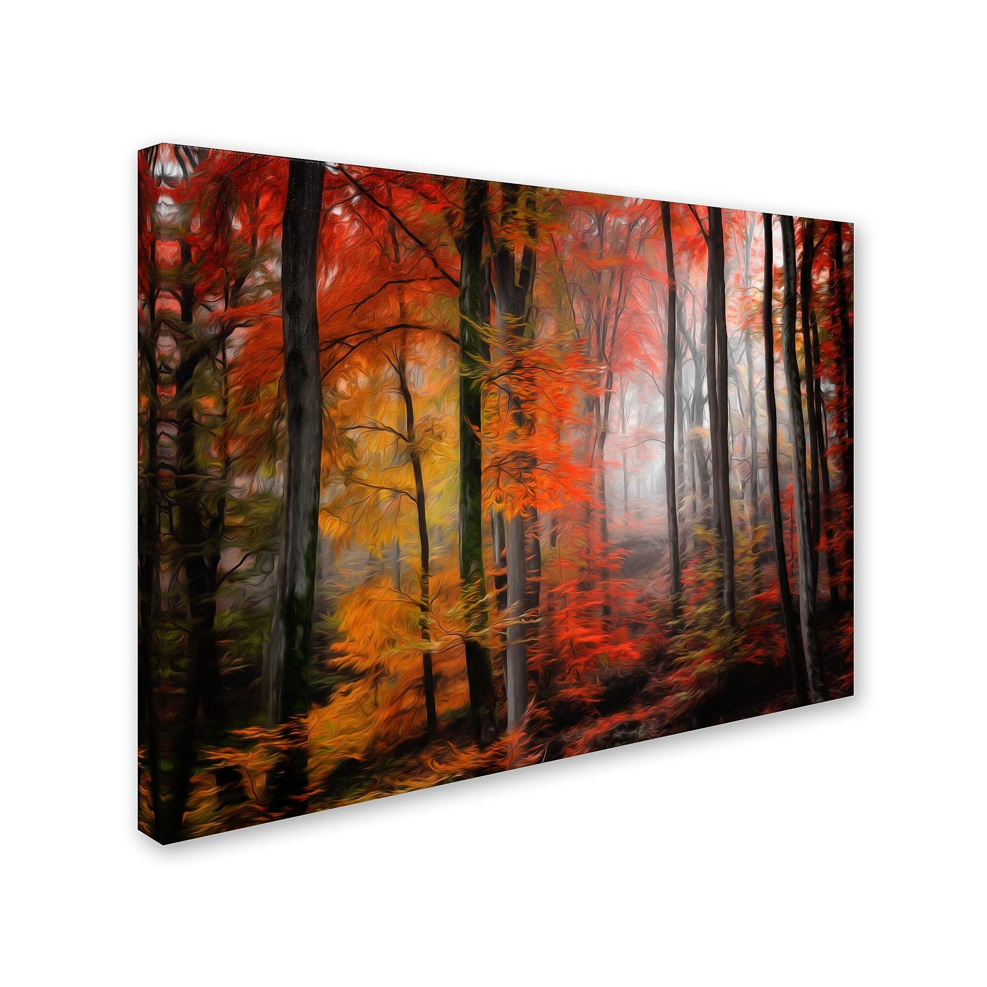 Trademark Fine Art 'Wildly Red' 22" x 32" Canvas Art