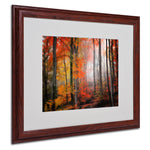 Trademark Fine Art 'Wildly Red' 16" x 20" Wood Frame Art
