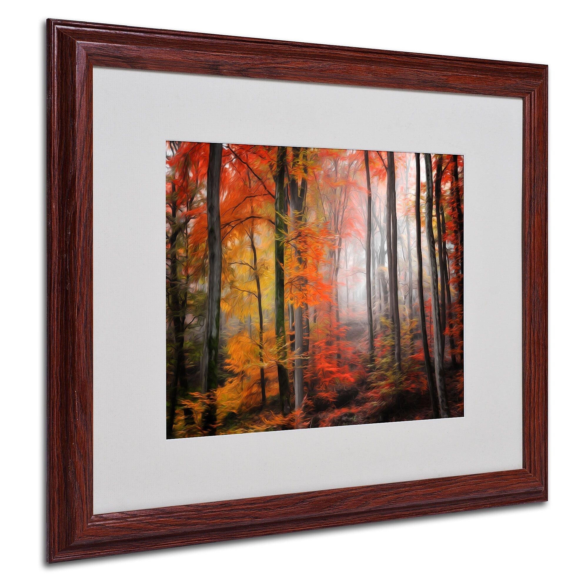 Trademark Fine Art 'Wildly Red' 16" x 20" Wood Frame Art
