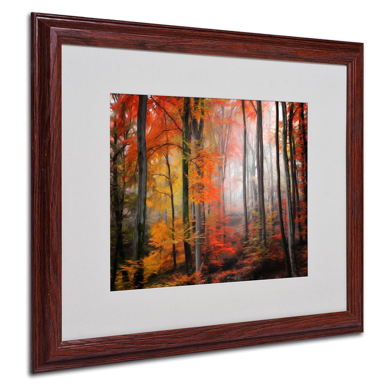Trademark Fine Art 'Wildly Red' 16" x 20" Wood Frame Art