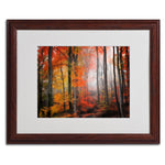 Trademark Fine Art 'Wildly Red' 16" x 20" Wood Frame Art