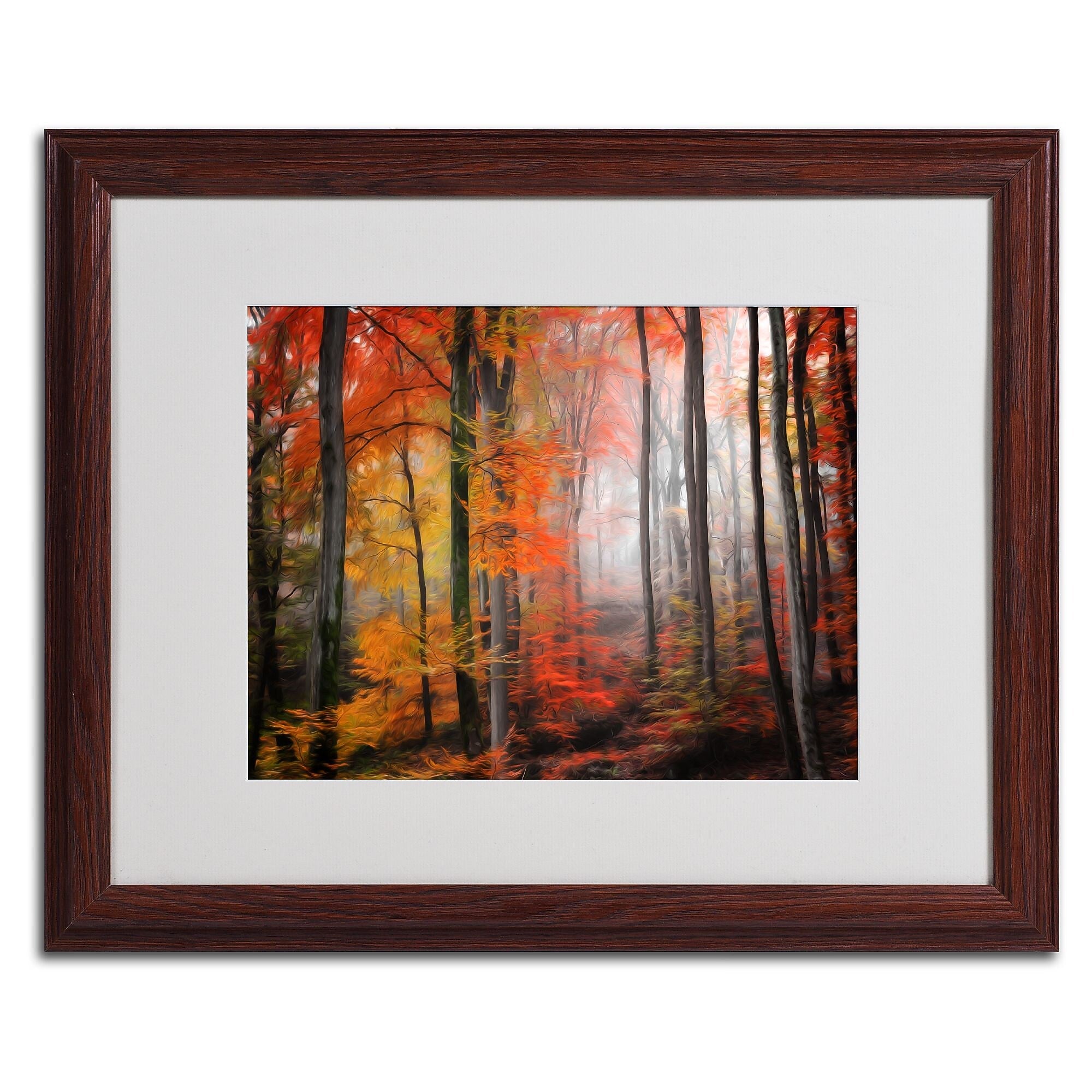 Trademark Fine Art 'Wildly Red' 16" x 20" Wood Frame Art