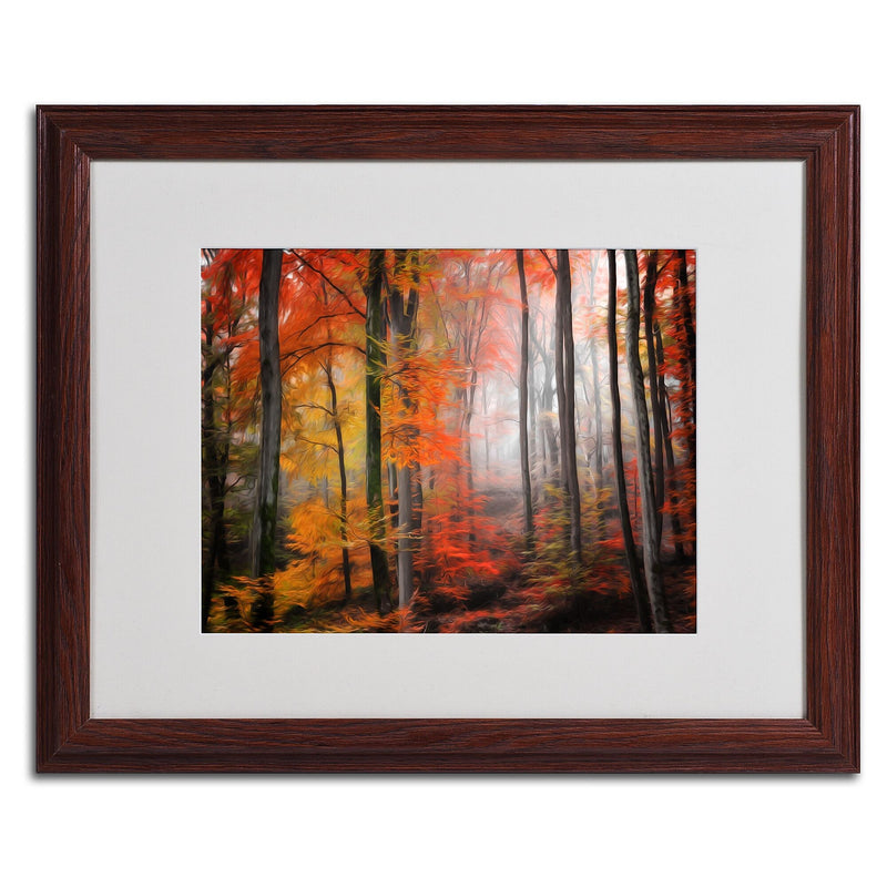 Trademark Fine Art 'Wildly Red' 16" x 20" Wood Frame Art