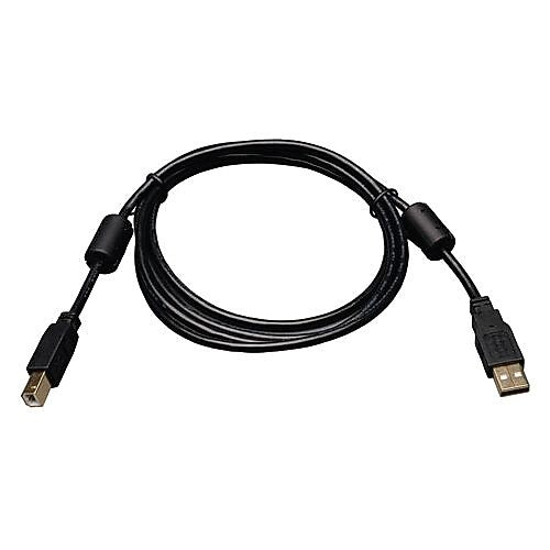 Tripp Lite 6' USB 2.0 Male to Male Device Cable, Black+