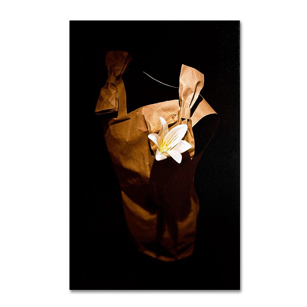 Trademark Fine Art 12" x 19" Wooden Frame White Flower