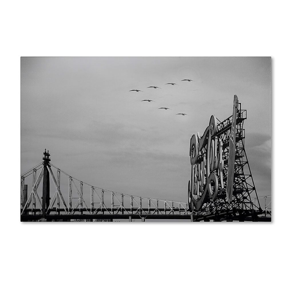 Trademark Fine Art 12" x 19" Wooden Frame Pepsi Birds