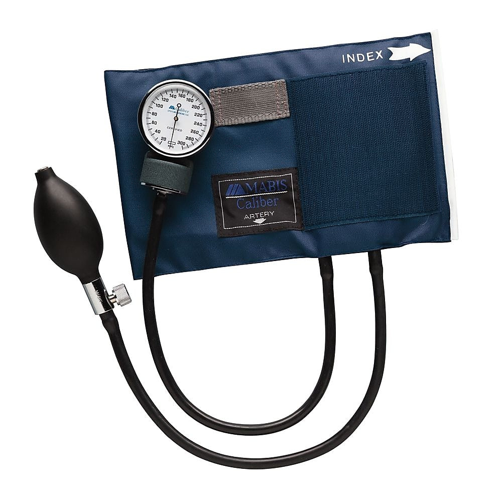 Briggs Healthcare Series Aneroid Sphygmomanometer, Large (01-130-016)
