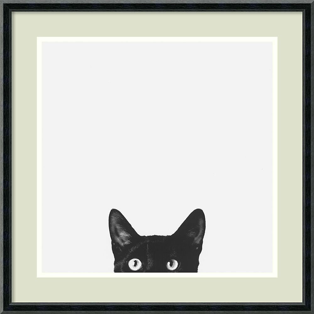 Amanti Art Jon Bertelli "Curiosity" Framed Animal Art, 20" x 20"