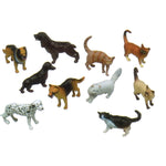 Get Ready Kids Pets Animal Playset, 10 Pieces/Set (MTB873)