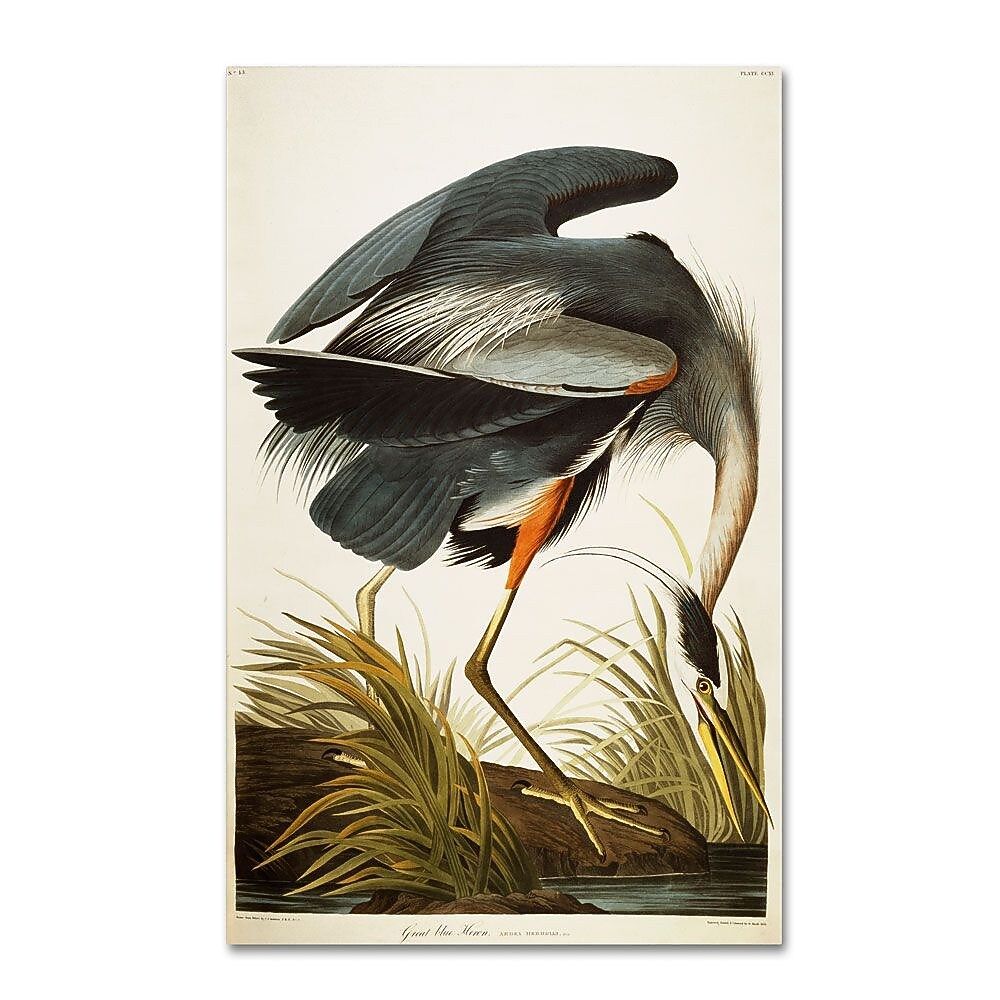 Trademark Fine Art 19" x 12" Wooden Frame Great Blue Heron