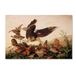 Trademark Fine Art 12" x 19" Wooden Frame Fine Art