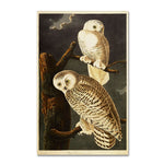Trademark Fine Art 12" x 19" Hidden Wooden Frame Snowy Owl