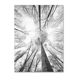 Trademark Fine Art 12" x 19" Wooden Frame Recall The Days