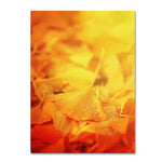 Trademark Fine Art 19" x 12" Canvas, Wood Fine Art Giclee