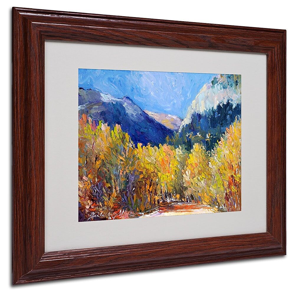 Trademark Fine Art 11" x 14" Acrylic Cotton, Dark Wooden Frame