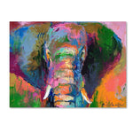 Trademark Fine Art 14" x 19" Wooden Frame Elephant 2