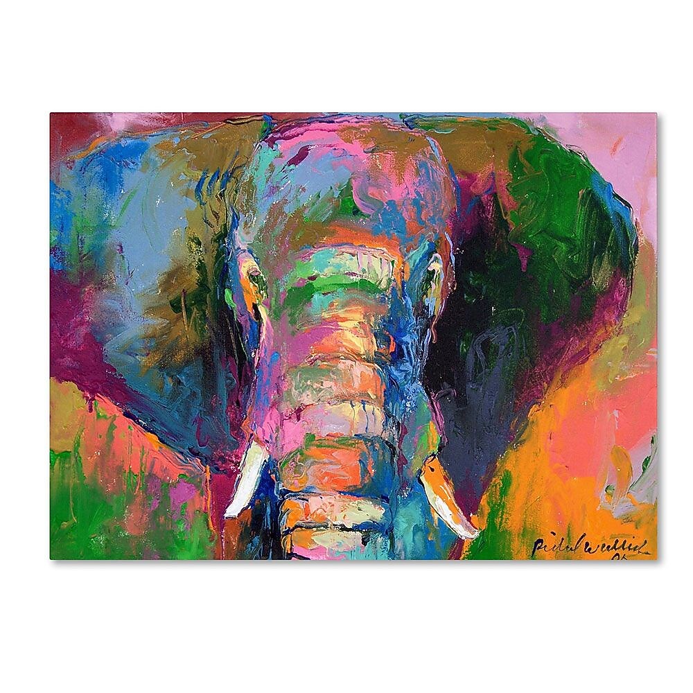 Trademark Fine Art 35" x 47" Canvas Elephant 2