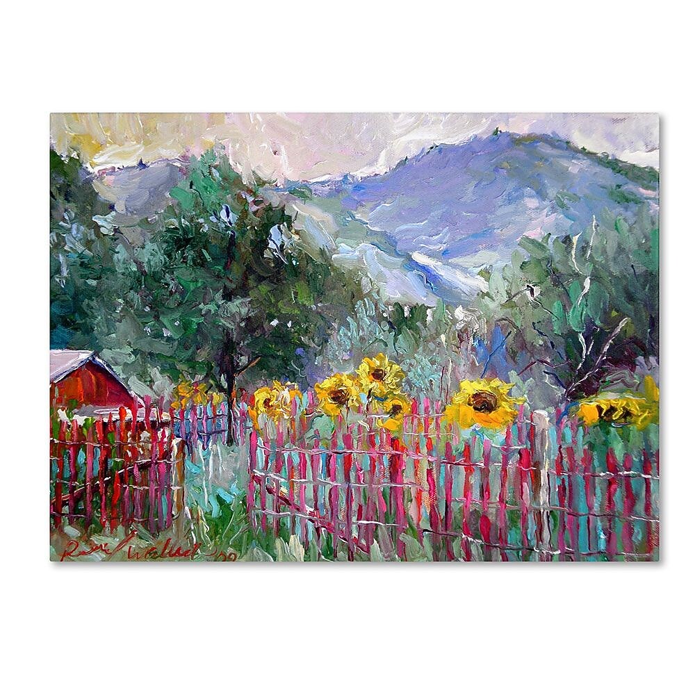 Trademark Fine Art 35" x 47" Wooden Frame Foothills