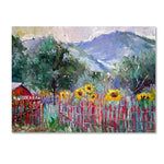 Trademark Fine Art 35" x 47" Wooden Frame Foothills