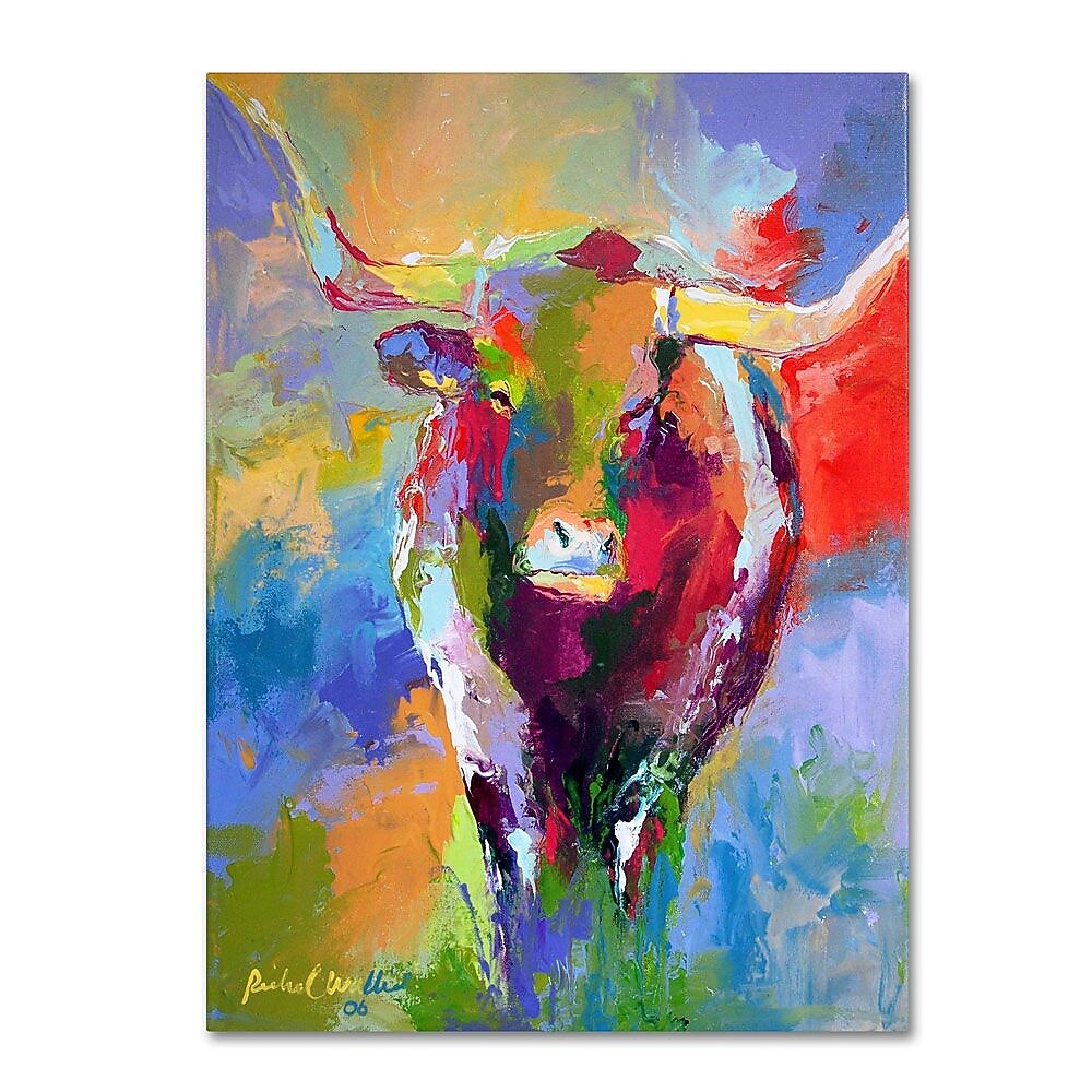 Trademark Fine Art 14" x 19" Wooden Frame Longhorn