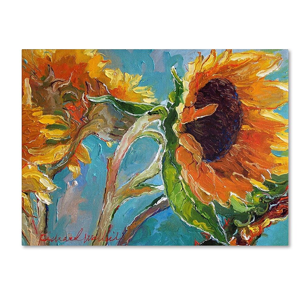 Trademark Fine Art 14" x 19" Wooden Frame Sun 11