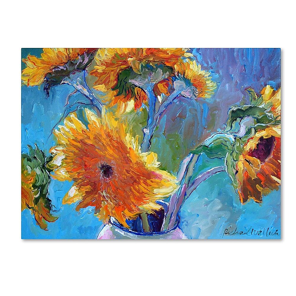 Trademark Fine Art 35" x 47" Wooden Frame Sun 5