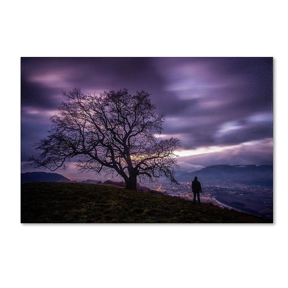 Trademark Fine Art 12" x 19" Wooden Frame The Tree of Love Grenoble