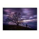 Trademark Fine Art 16" x 24" Wooden Frame The Tree of Love Grenoble